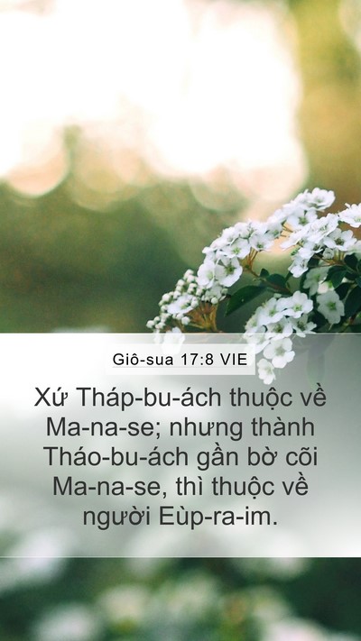 Giô-sua 17:8 VIE Mobile Phone Wallpaper - Xứ Tháp-bu-ách thuộc về Ma-na-se; nhưng - Mobile Bible Verse Wallpaper