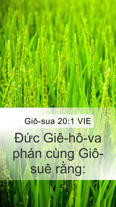 Giô-sua 20:1 VIE Mobile Phone Wallpaper - Đức Giê-hô-va phán cùng Giô-suê - Mobile Bible Verse Wallpaper