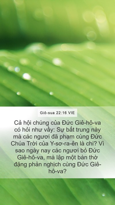 Giô-sua 22:16 VIE Bible Verse Image