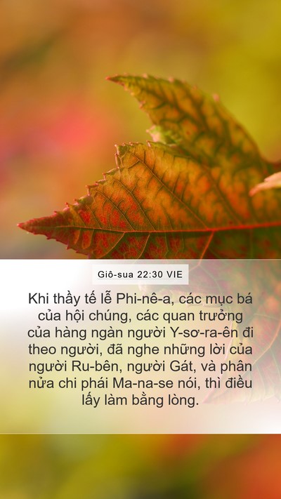 Giô-sua 22:30 VIE Mobile Phone Wallpaper - Khi thầy tế lễ Phi-nê-a, các mục bá - Mobile Bible Verse Wallpaper