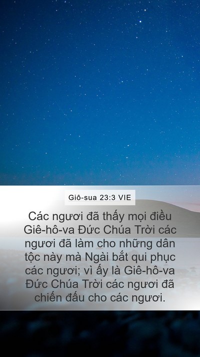 Giô-sua 23:3 VIE Mobile Phone Wallpaper - Các ngươi đã thấy mọi điều - Mobile Bible Verse Wallpaper