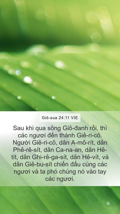 Giô-sua 24:11 VIE Mobile Phone Wallpaper - Sau khi qua sông Giô-đanh rồi, thì các - Mobile Bible Verse Wallpaper