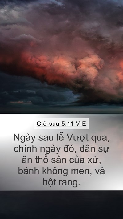 Giô-sua 5:11 VIE Bible Verse Image