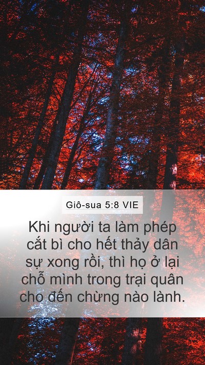 Giô-sua 5:8 VIE Bible Verse Image