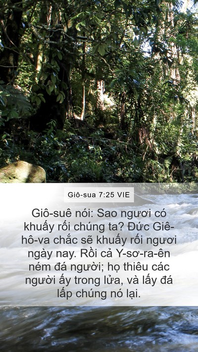 Giô-sua 7:25 VIE Mobile Phone Wallpaper - Giô-suê nói: Sao ngươi có khuấy rối - Mobile Bible Verse Wallpaper