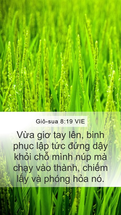 Giô-sua 8:19 VIE Bible Verse Image