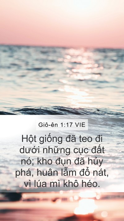 Giô-ên 1:17 VIE Bible Verse Image