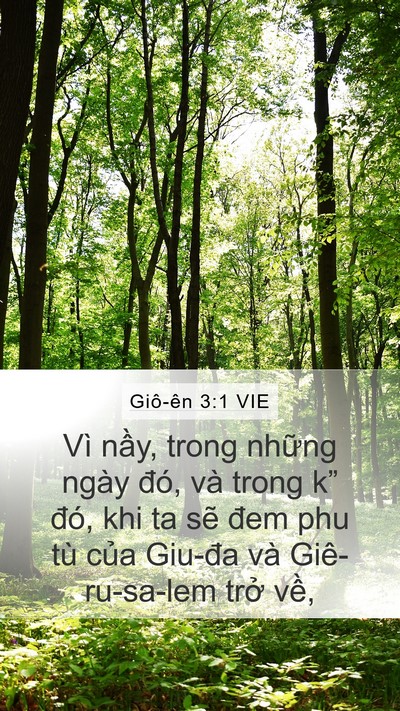 Giô-ên 3:1 VIE Bible Verse Image
