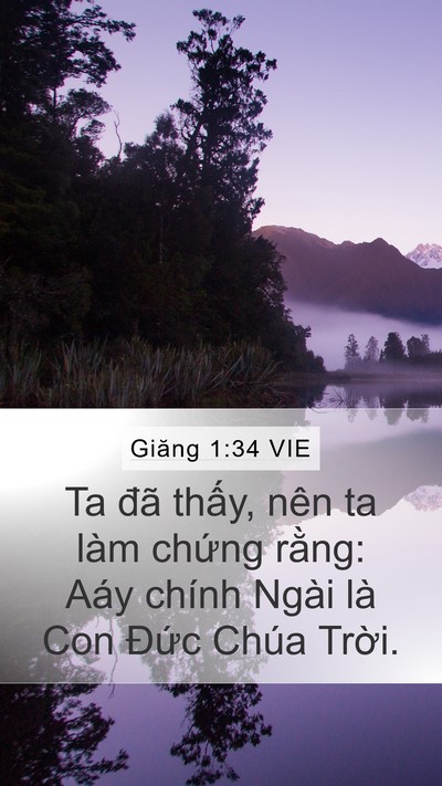 Giăng 1:34 VIE Bible Verse Image