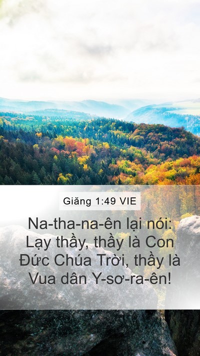 Giăng 1:49 VIE Bible Verse Image