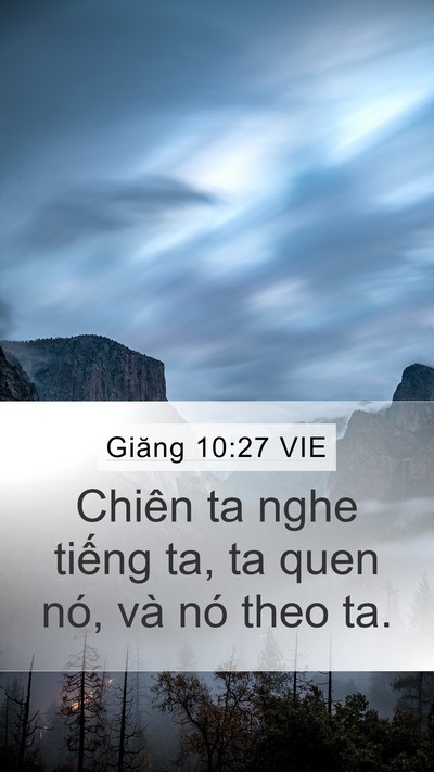 Giăng 10:27 VIE Bible Verse Image