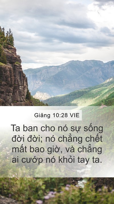 Giăng 10:28 VIE Bible Verse Image