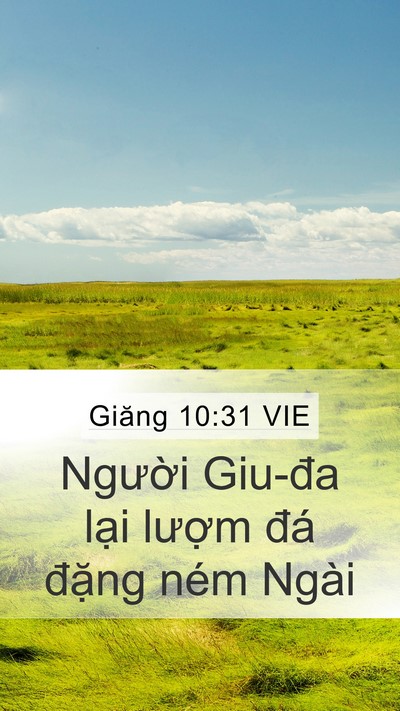 Giăng 10:31 VIE Bible Verse Image