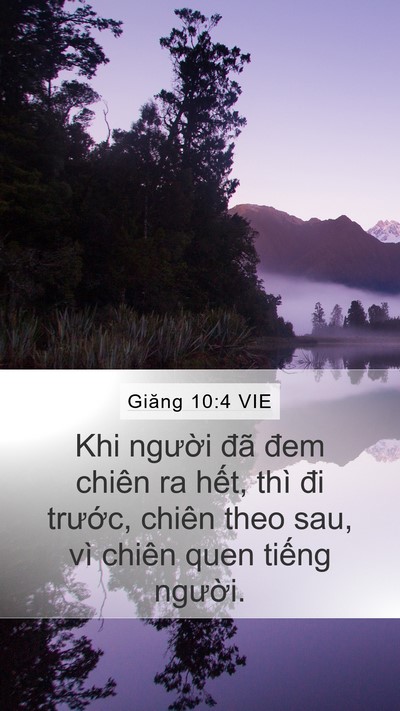 Giăng 10:4 VIE Mobile Phone Wallpaper - Khi người đã đem chiên ra hết, thì đi - Mobile Bible Verse Wallpaper