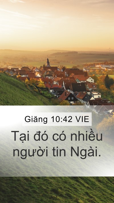 Giăng 10:42 VIE Mobile Phone Wallpaper - Tại đó có nhiều người tin - Mobile Bible Verse Wallpaper