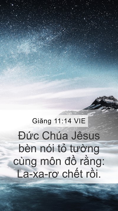 Giăng 11:14 VIE Mobile Phone Wallpaper - Đức Chúa Jêsus bèn nói tỏ tường cùng - Mobile Bible Verse Wallpaper