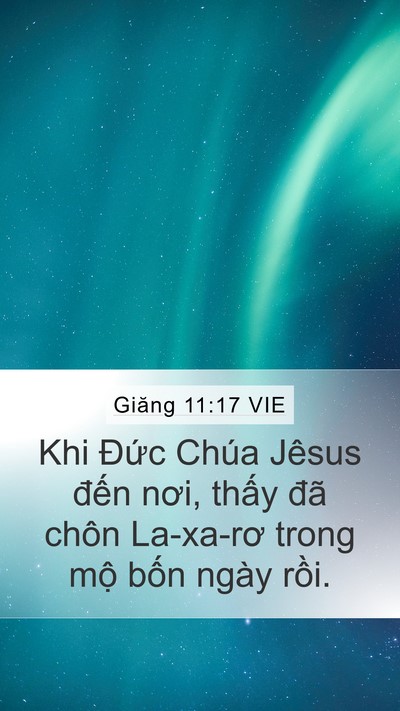 Giăng 11:17 VIE Bible Verse Image