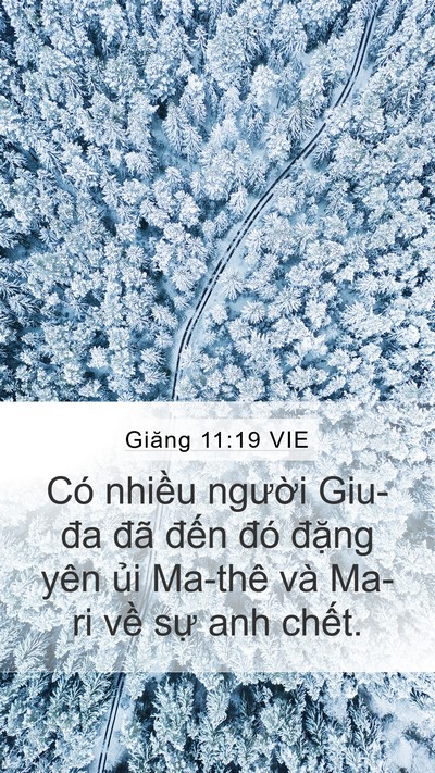 Giăng 11:19 VIE Bible Verse Image