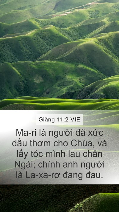 Giăng 11:2 VIE Bible Verse Image