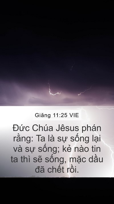 Giăng 11:25 VIE Bible Verse Image