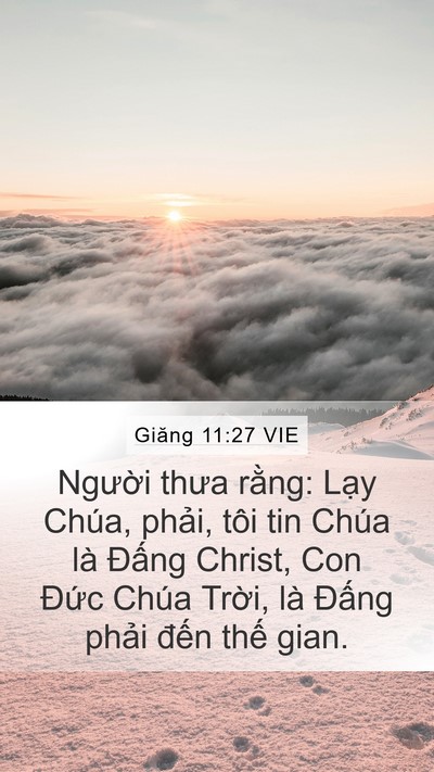 Giăng 11:27 VIE Bible Verse Image