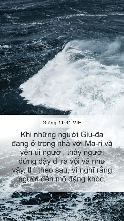 Giăng 11:31 VIE Bible Verse Image