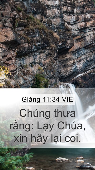 Giăng 11:34 VIE Bible Verse Image