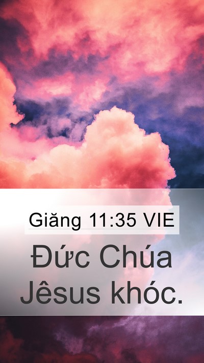 Giăng 11:35 VIE Bible Verse Image