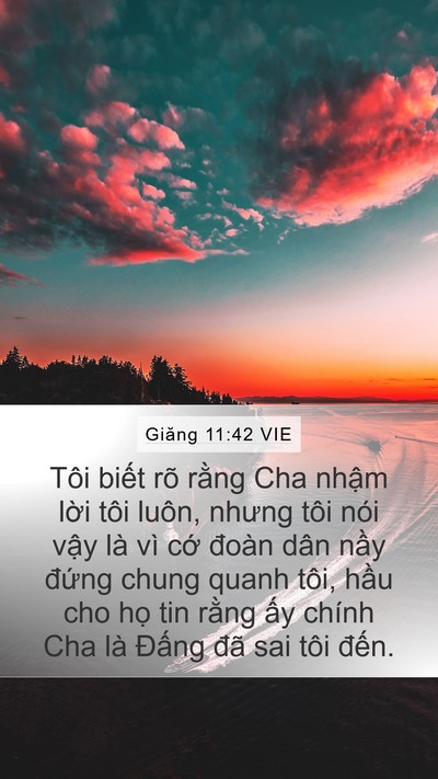 Giăng 11:42 VIE Bible Verse Image