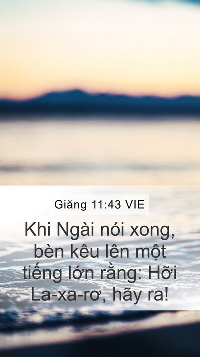 Giăng 11:43 VIE Bible Verse Image