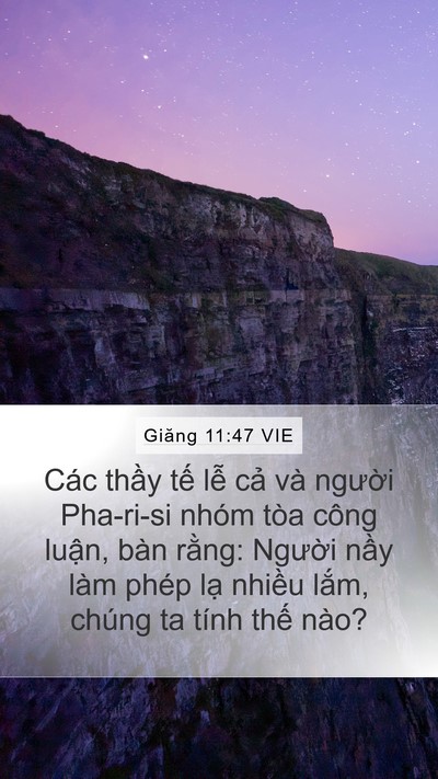 Giăng 11:47 VIE Bible Verse Image