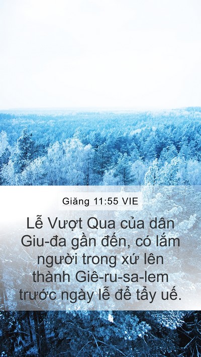 Giăng 11:55 VIE Bible Verse Image