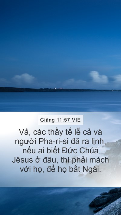 Giăng 11:57 VIE Bible Verse Image