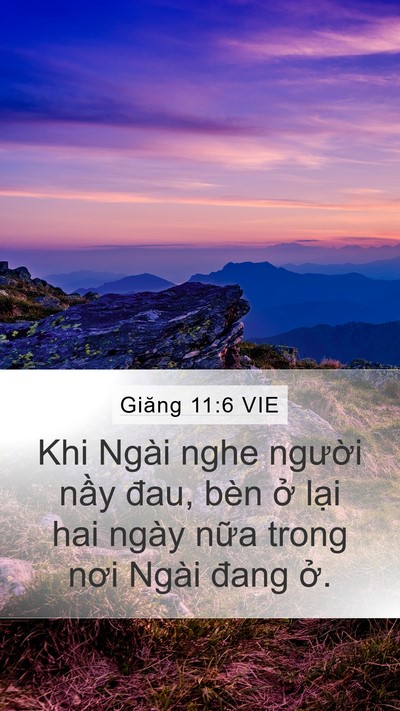 Giăng 11:6 VIE Mobile Phone Wallpaper - Khi Ngài nghe người nầy đau, bèn ở - Mobile Bible Verse Wallpaper