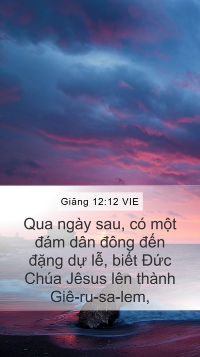 Giăng 12:12 VIE Bible Verse Image