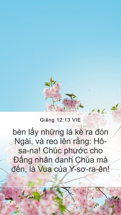Giăng 12:13 VIE Bible Verse Image