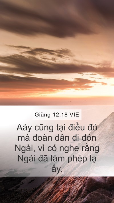Giăng 12:18 VIE Bible Verse Image
