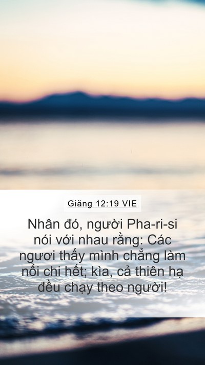 Giăng 12:19 VIE Bible Verse Image