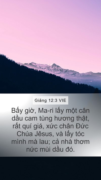 Giăng 12:3 VIE Bible Verse Image