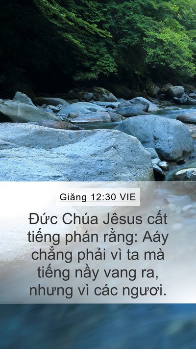 Giăng 12:30 VIE Bible Verse Image