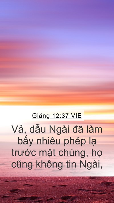 Giăng 12:37 VIE Bible Verse Image