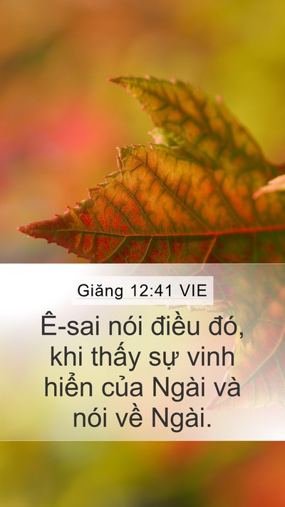 Giăng 12:41 VIE Bible Verse Image