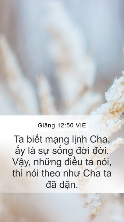 Giăng 12:50 VIE Bible Verse Image