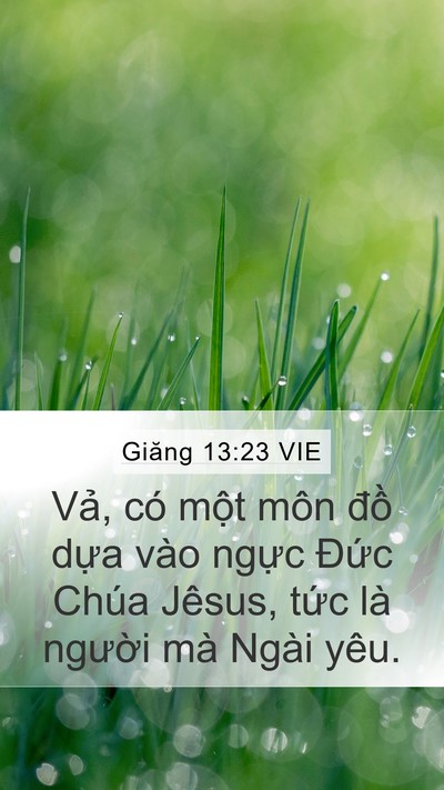 Giăng 13:23 VIE Bible Verse Image