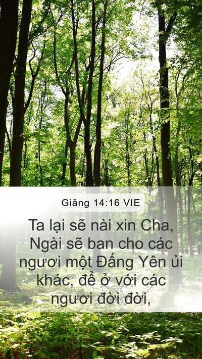 Giăng 14:16 VIE Bible Verse Image
