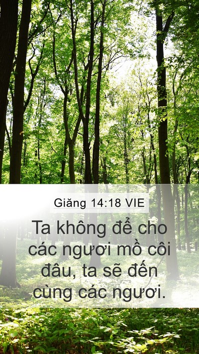 Giăng 14:18 VIE Bible Verse Image