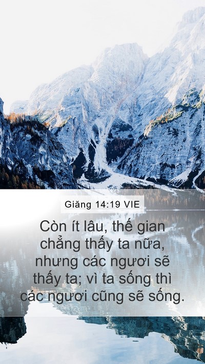 Giăng 14:19 VIE Bible Verse Image