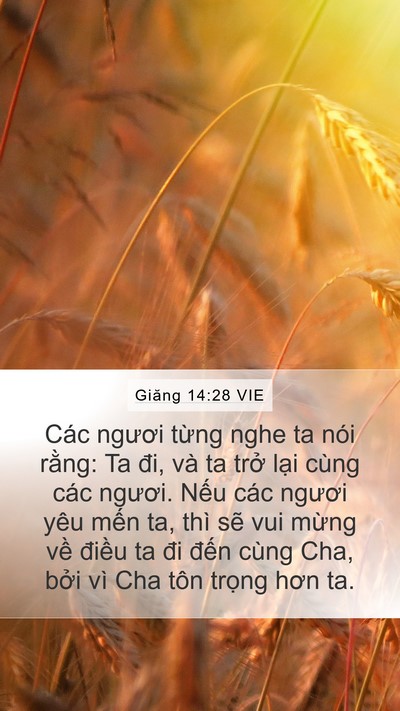 Giăng 14:28 VIE Bible Verse Image