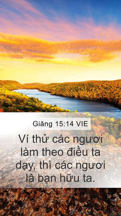 Giăng 15:14 VIE Bible Verse Image