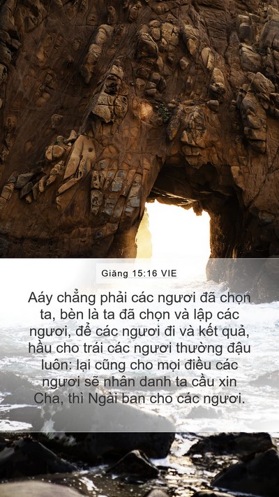 Giăng 15:16 VIE Bible Verse Image